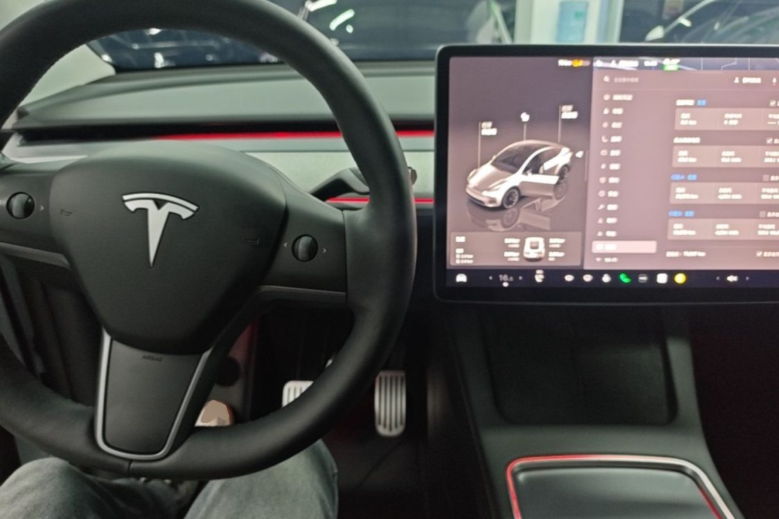 Tesla Model Y 2024 car image #15