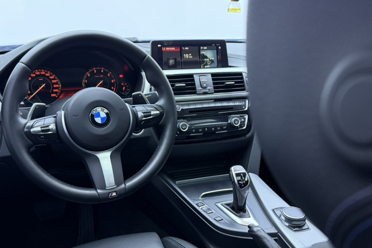 BMW 3 Series 2018 car image #10