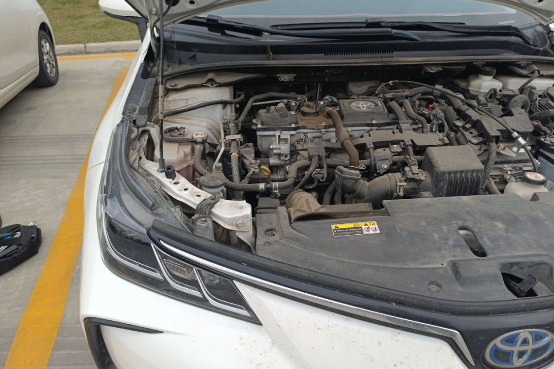 Toyota Corolla 2023 immagine di auto #11
