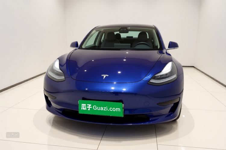 Tesla Model 3 2020 #3 Tesla Model 3 2020 car image #3