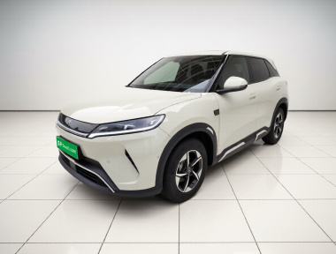 BYD YuanUP 2025 car image 