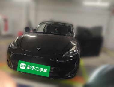 Tesla Model Y 2023 car image 