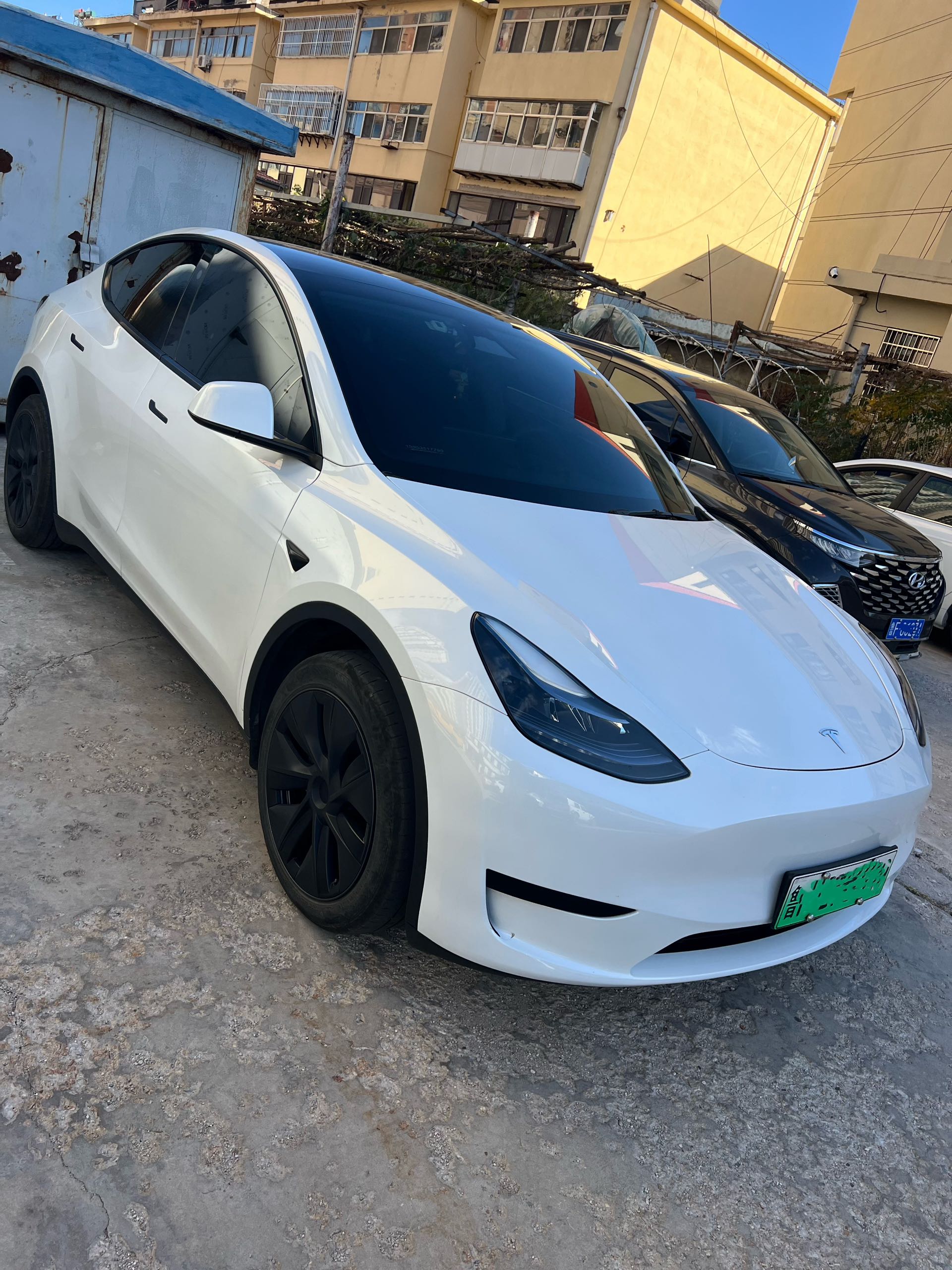 Tesla Model Y 2024 car image #5