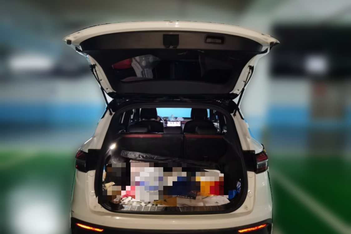 GEELY Coolray 2019 #8 GEELY Coolray 2019 image de voiture #8