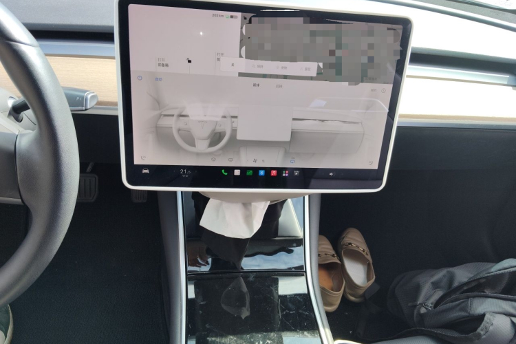 Tesla Model 3 2020 car image #13
