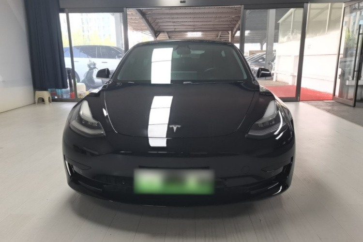 Tesla Model 3 2020 #3 Tesla Model 3 2020 car image #3
