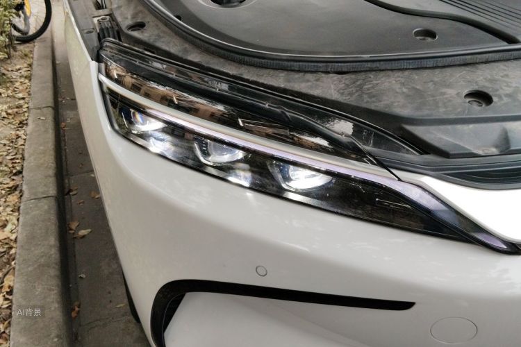 BYD Han 2023 #8 BYD Han 2023 immagine di auto #8