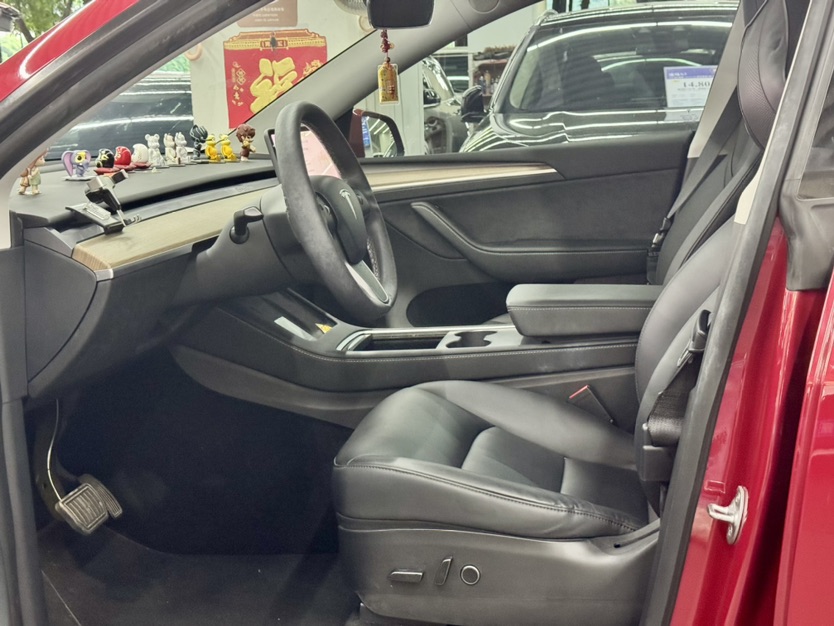 Tesla Model Y 2021 #5 Tesla Model Y 2021 car image #5