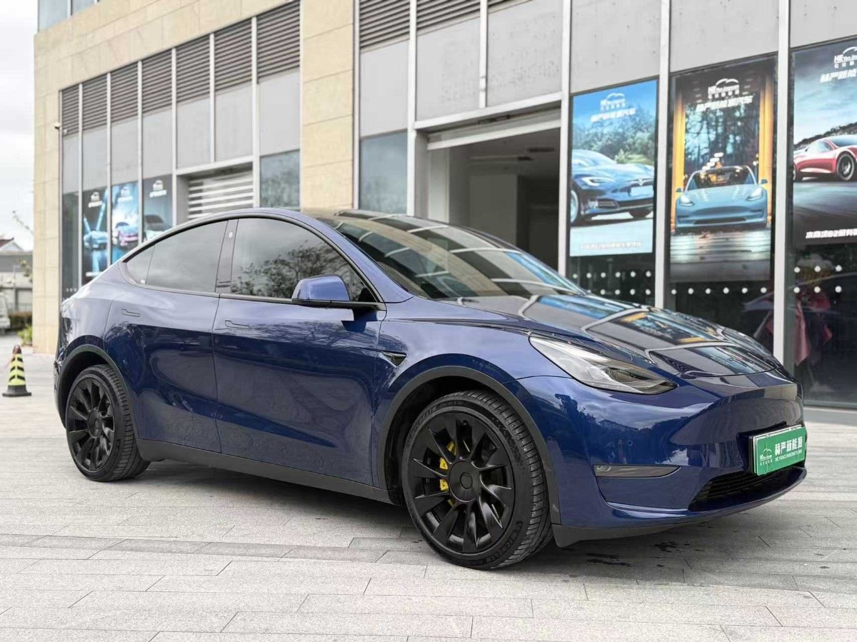 Tesla Model Y 2021 صورة سيارة #3