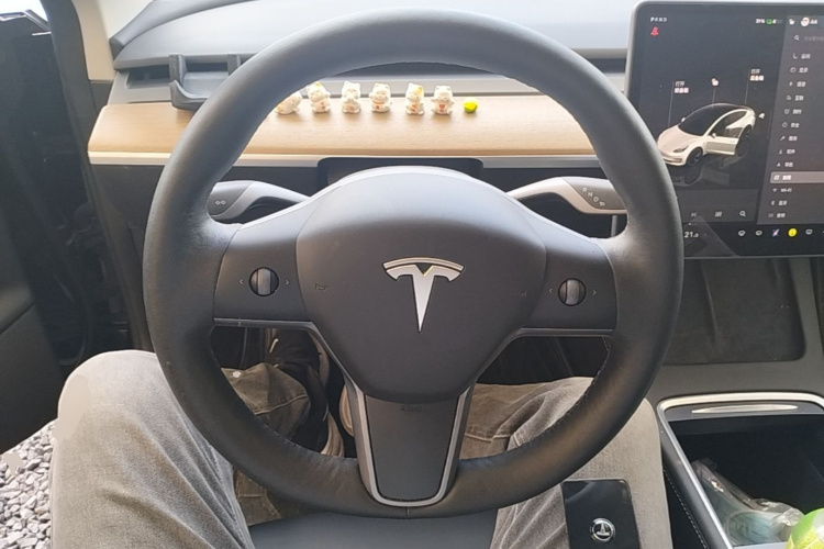 Tesla Model 3 2022 #11 Tesla Model 3 2022 immagine di auto #11