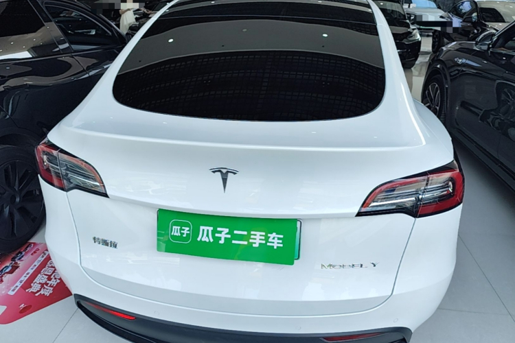 Tesla Model Y 2021 car image #6