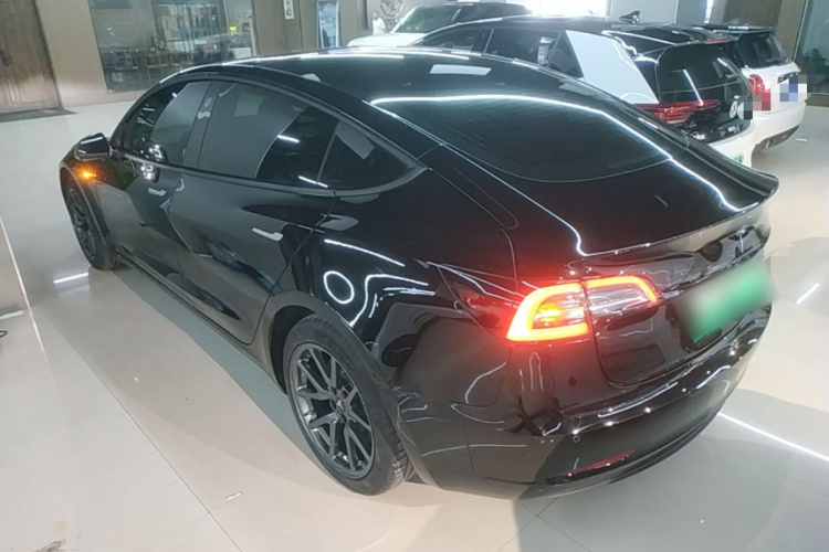 Tesla Model 3 2020 car image #5