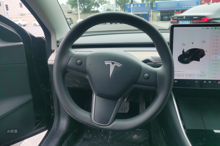 Tesla Model 3 2020 car image #12