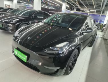 Tesla Model Y 2021 Tesla Model Y 2021 car image