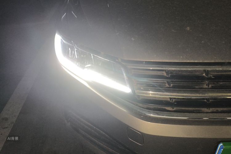 Volkswagen Bora 2019 car image #8