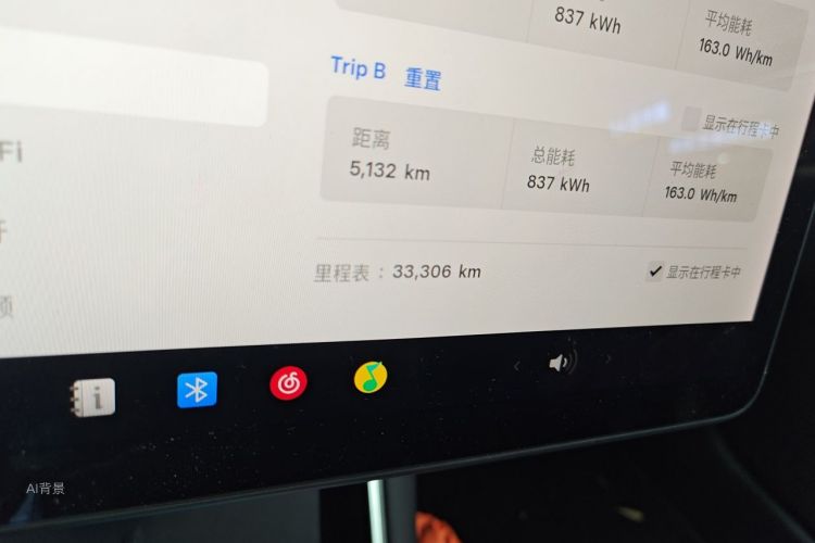 Tesla Model 3 2020 car image #14