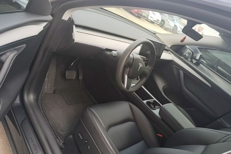 Tesla Model Y 2024 car image #16