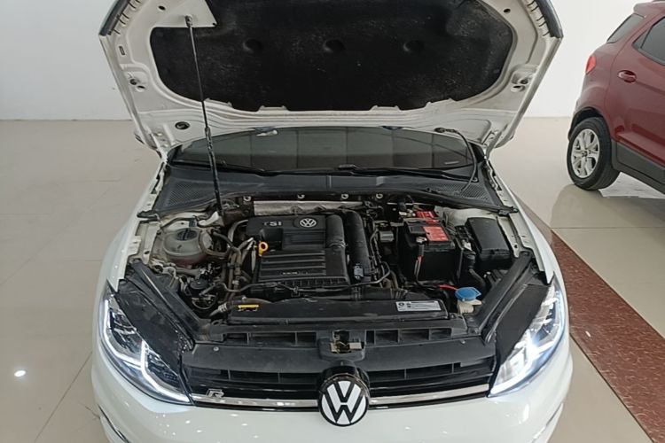 Volkswagen Golf 2019 car image #20