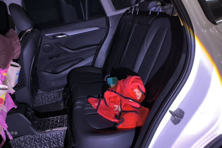 BMW X1 2018 car image #19