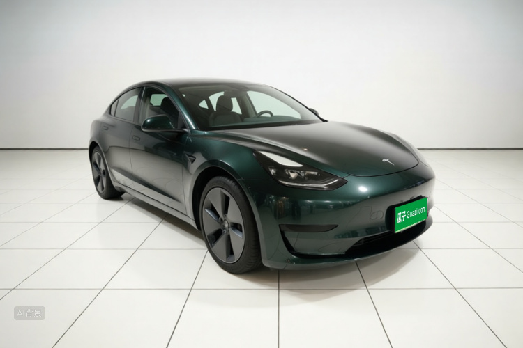 Tesla Model 3 2021 car image #4