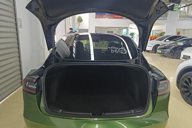 Tesla Model 3 2020 car image #19