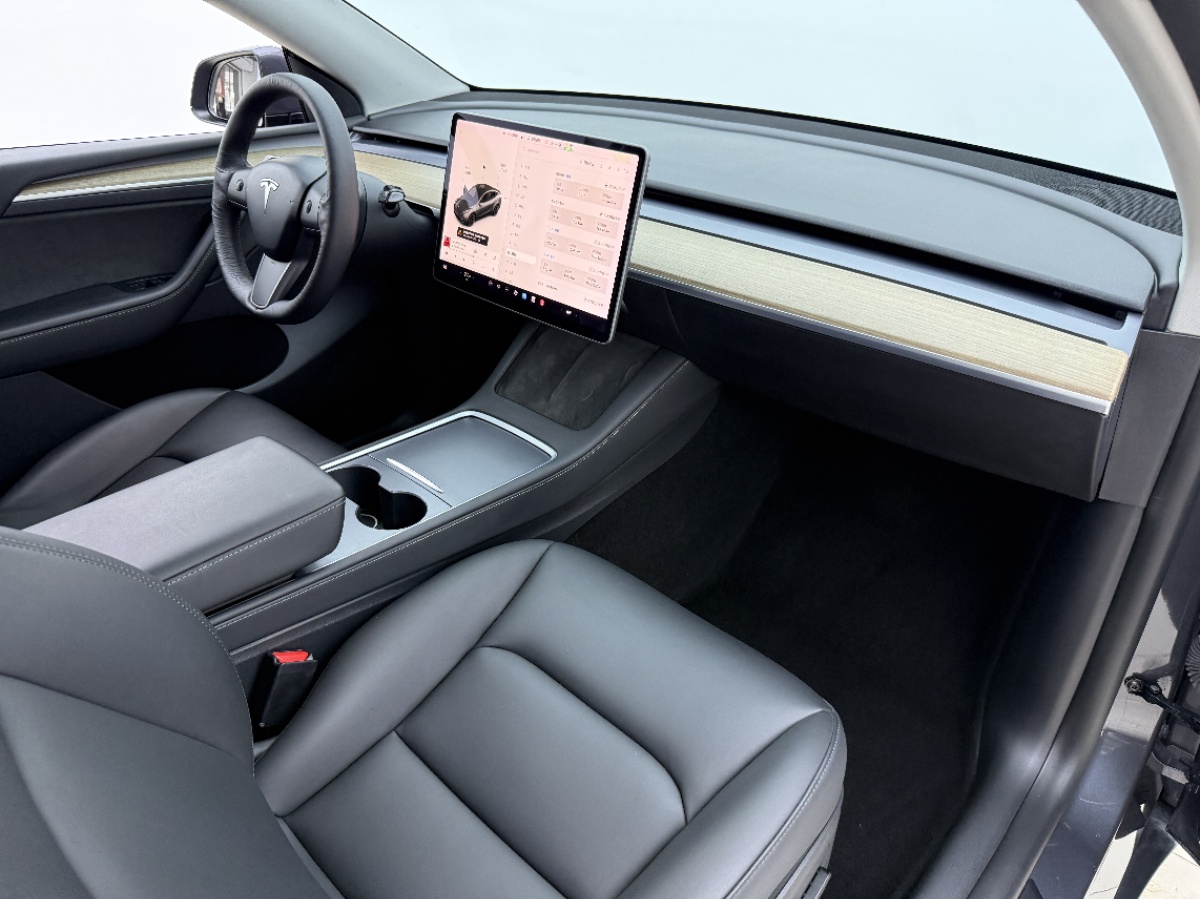 Tesla Model Y 2021 #5 Tesla Model Y 2021 car image #5