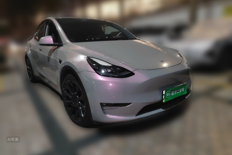 Tesla Model Y 2021 car image #4