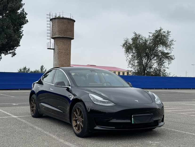 Tesla Model 3 2020 #3 Tesla Model 3 2020 car image #3