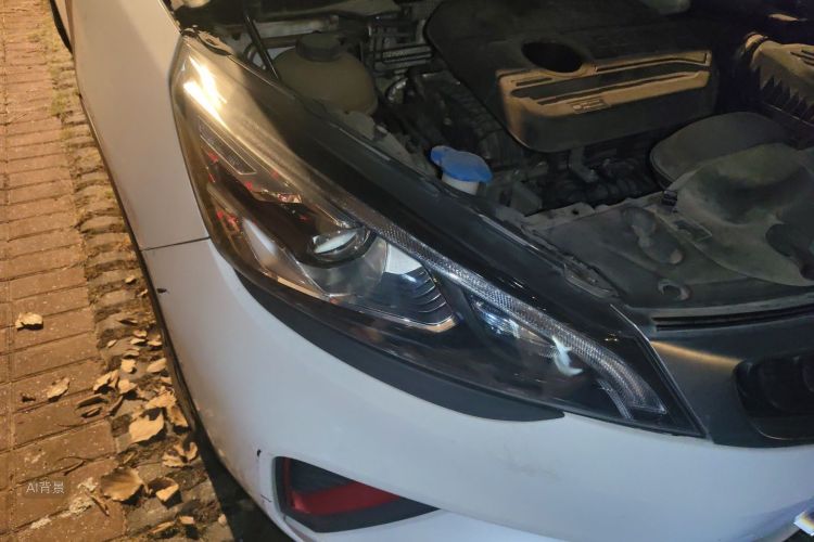GEELY Emgrand GS 2020 car image #8