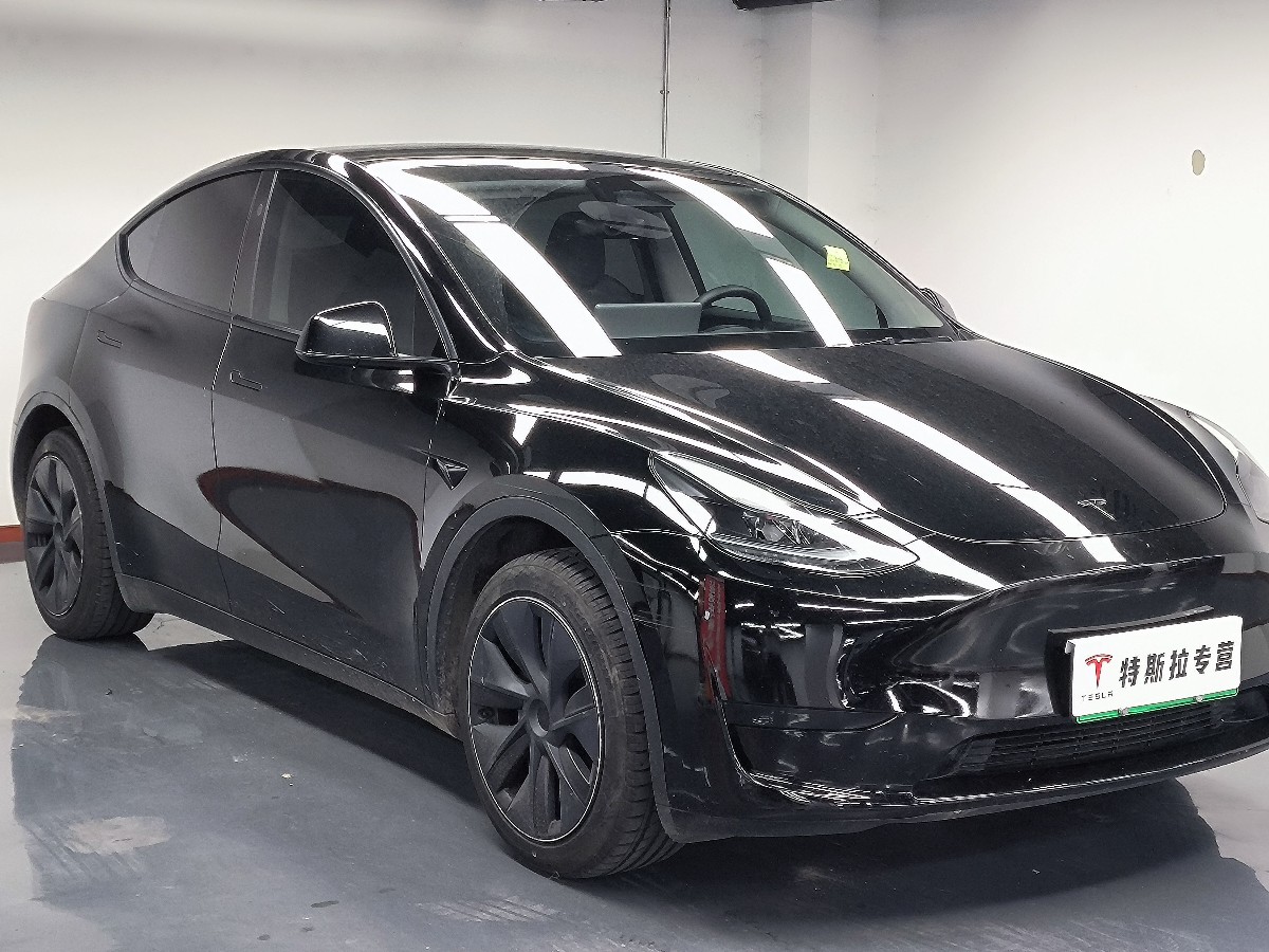 Tesla Model Y 2024 car image #5