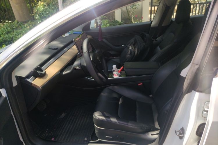 Tesla Model 3 2020 car image #16