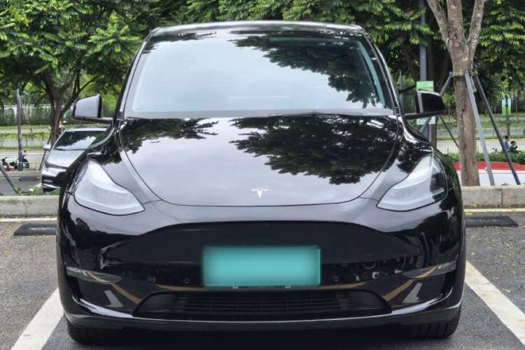 Tesla Model Y 2023 #4 Tesla Model Y 2023 car image #4