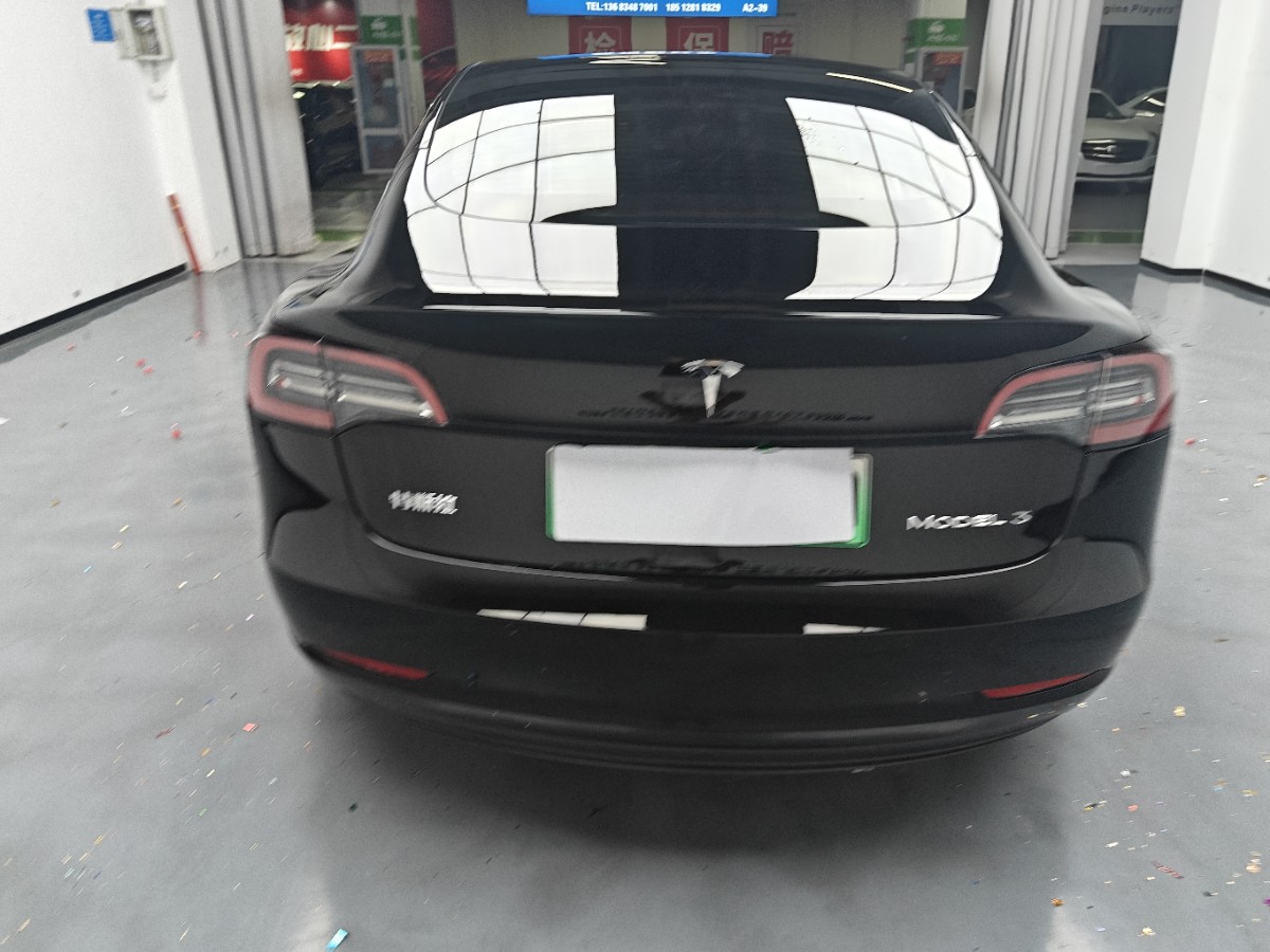Tesla Model 3 2021 car image #15
