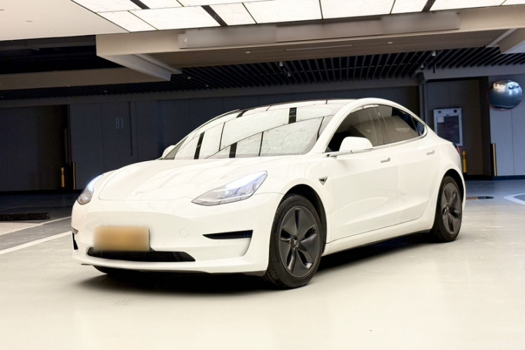 Tesla Model 3 2020 car image #2