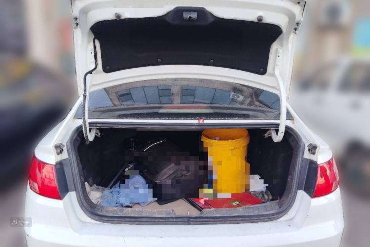 GEELY Emgrand GL 2020 imagem de carro #21