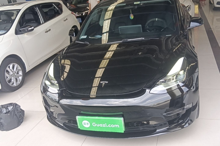 Tesla Model 3 2021 #3 Tesla Model 3 2021 car image #3
