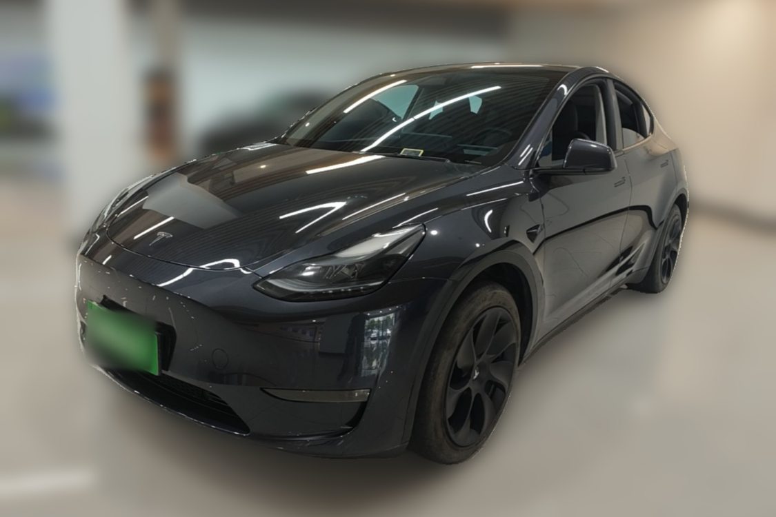 Tesla Model Y 2024 Tesla Model Y 2024 car image