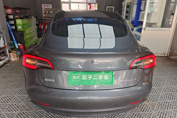 Tesla Model 3 2020 car image #4