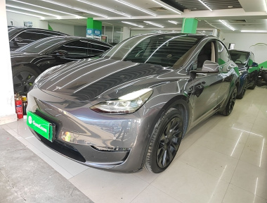 Tesla Model Y 2021 Tesla Model Y 2021 car image