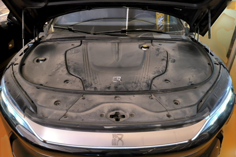 BYD Han 2021 car image #20