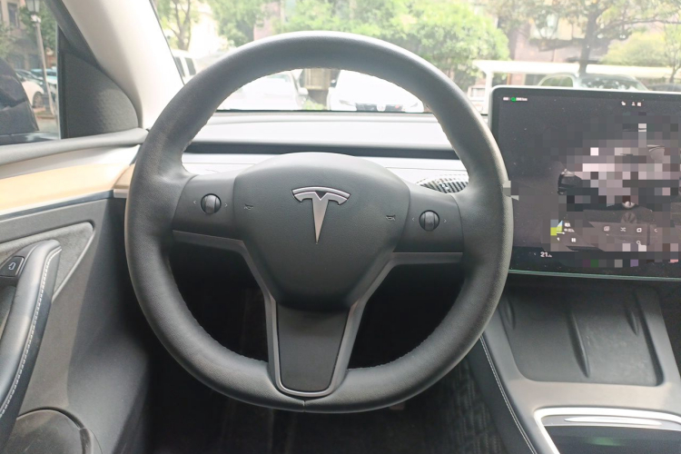 Tesla Model Y 2023 car image #15