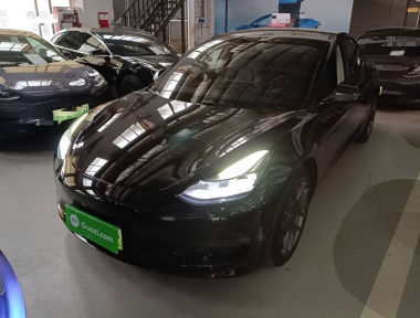 Tesla Model 3 2022 car image 