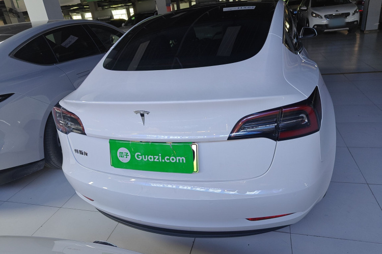 Tesla Model 3 2020 car image #6