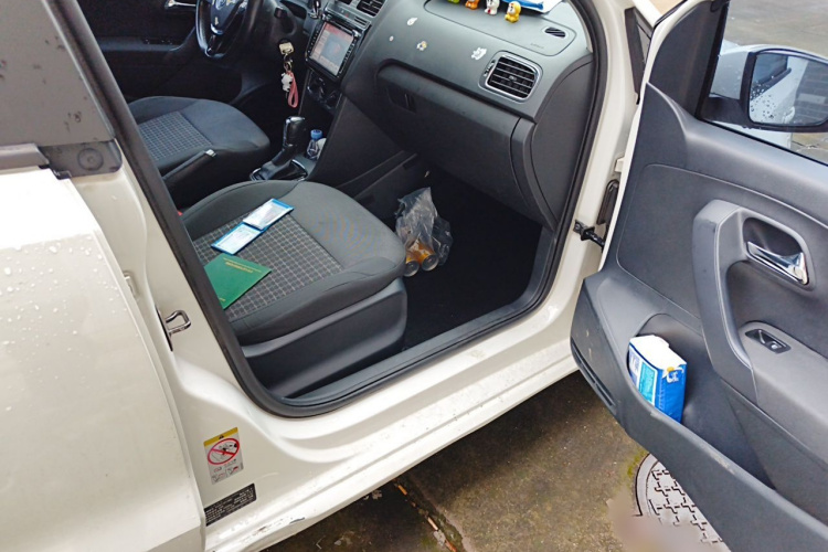 Volkswagen Polo 2016 car image #27