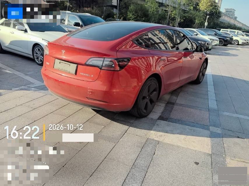Tesla Model 3 2021 car image #6