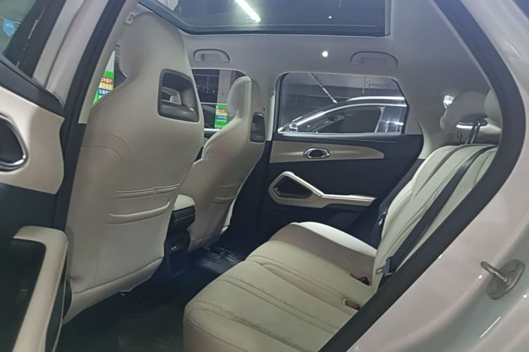 BYD YuanUP 2024 car image #17