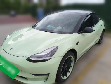 Tesla Model 3 2020 Tesla Model 3 2020 car image