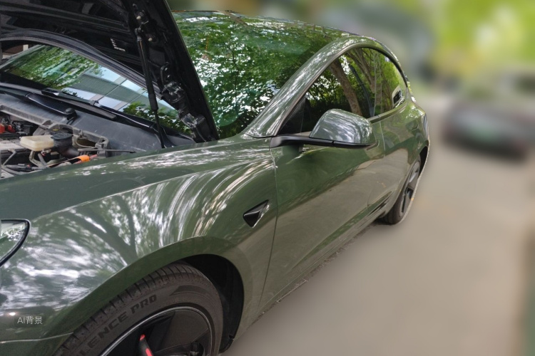 Tesla Model 3 2021 #2 Tesla Model 3 2021 car image #2