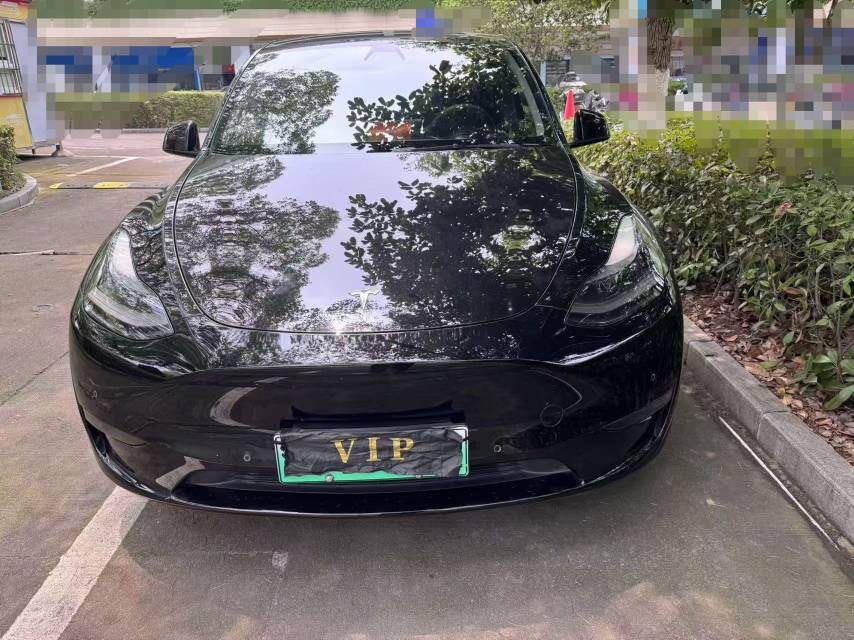 Tesla Model Y 2022 car image 