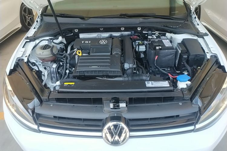 Volkswagen Golf 2019 car image #20